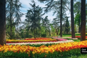 emirgan-korusu-gezi-rehberi-img